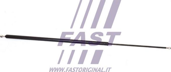 Fast FT94837 - Газовая пружина, упор autodif.ru
