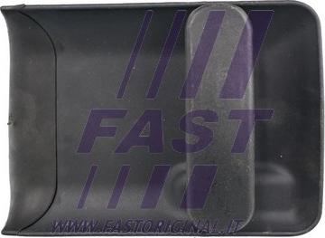 Fast FT94309 - Ручка двери autodif.ru