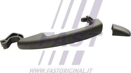 Fast FT94314 - Ручка двери autodif.ru
