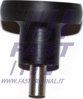 Fast FT95552 - Направляющая ролика, сдвижная дверь autodif.ru