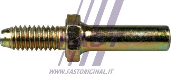 Fast FT95213 - ШтифтзамказаднейраспашнойдвериDucato(Елабуга),(250),Boxer06-,Jamper06- autodif.ru