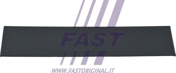 Fast FT90765 - Облицовка / защитная накладка, дверь autodif.ru