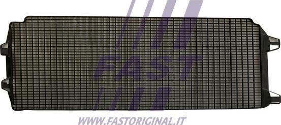 Fast FT91630 - Решетка радиатора autodif.ru