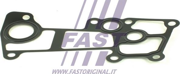 Fast FT49904 - Прокладка, фланец охлаждающей жидкости autodif.ru