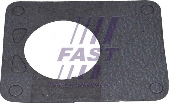 Fast FT49901 - Прокладка, вакуумный насос autodif.ru