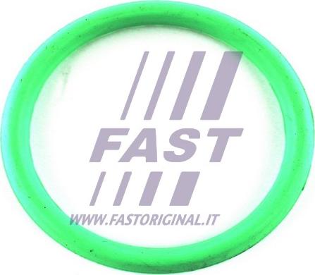 Fast FT49434 - Прокладка, впускной коллектор autodif.ru