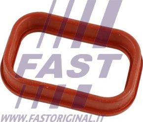 Fast FT49435 - Прокладка, впускной коллектор autodif.ru