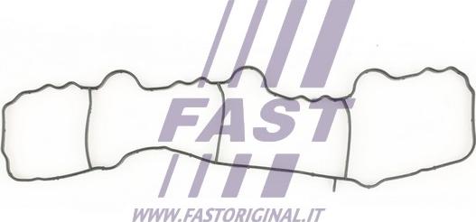 Fast FT49430 - Прокладка, впускной коллектор autodif.ru