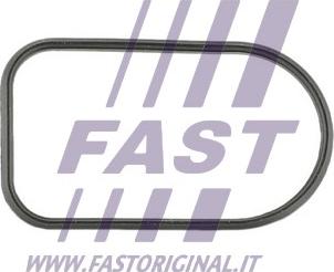 Fast FT49425 - Прокладка, впускной коллектор autodif.ru