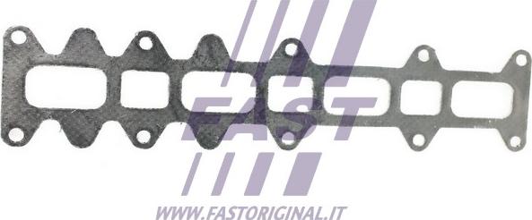 Fast FT49542 - Прокладка, выпускной коллектор autodif.ru