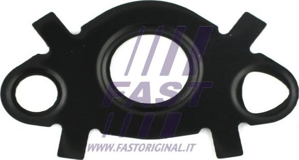 Fast FT49547 - Прокладка, масляный радиатор autodif.ru
