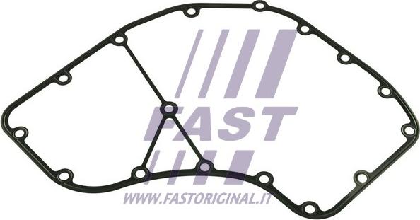 Fast FT49064 - Прокладка, картер рулевого механизма autodif.ru