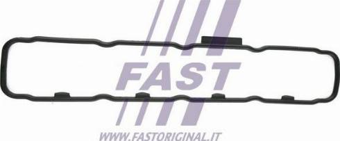 Fast FT49004 - Прокладка, крышка головки цилиндра autodif.ru
