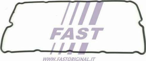 Fast FT49011 - Прокладка, крышка головки цилиндра autodif.ru