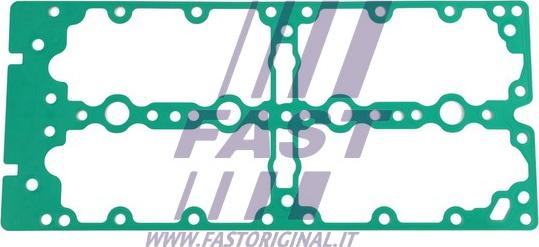 Fast FT49072 - Прокладка, крышка головки цилиндра autodif.ru