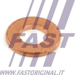 Fast FT49848 - Прокладка, корпус форсунки autodif.ru