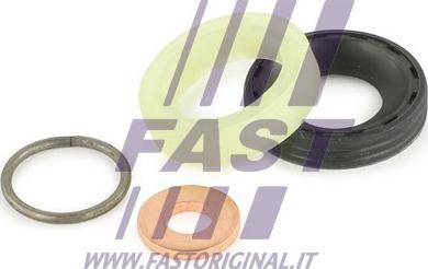 Fast FT49842 - Комплект прокладок, форсунка autodif.ru