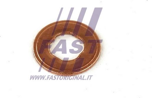 Fast FT49847 - Прокладка, корпус форсунки autodif.ru
