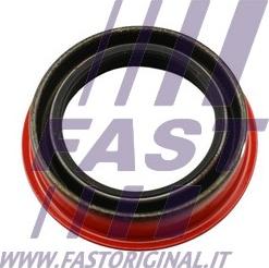 Fast FT49851 - Уплотняющее кольцо, дифференциал autodif.ru