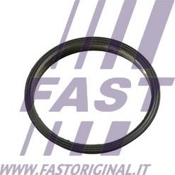 Fast FT49853 - Прокладка, вакуумный насос autodif.ru