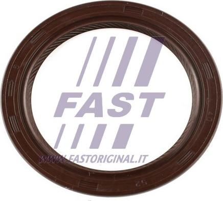 Fast FT49813 - Уплотняющее кольцо, дифференциал autodif.ru