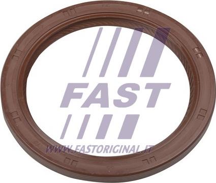 Fast FT49794 - Уплотняющее кольцо, дифференциал autodif.ru
