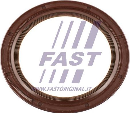 Fast FT49757 - Уплотняющее кольцо, дифференциал autodif.ru