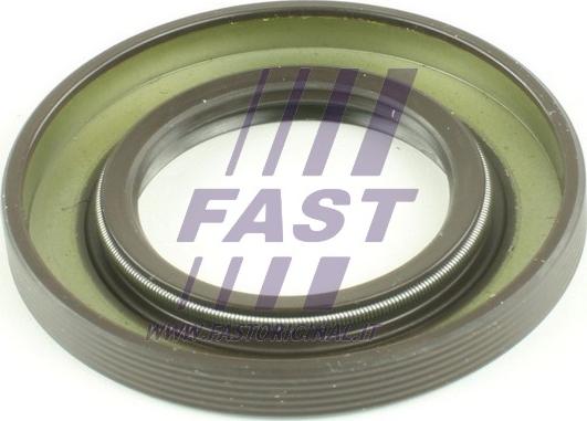 Fast FT49708 - Уплотняющее кольцо, дифференциал autodif.ru