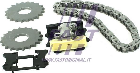 Fast FT41911 - Комплект цепи привода распредвала autodif.ru