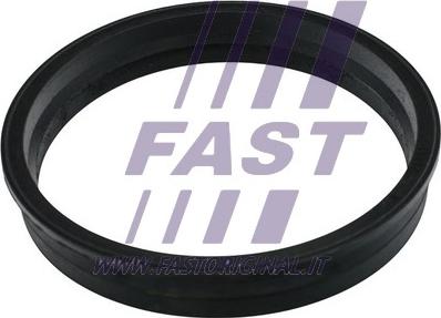 Fast FT48505 - Прокладка, датчик уровня топлива autodif.ru