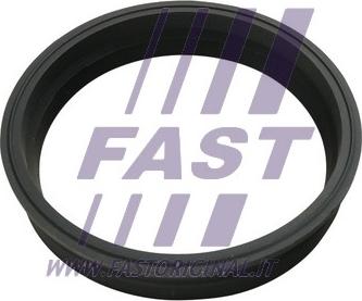 Fast FT48501 - Прокладка, датчик уровня топлива autodif.ru