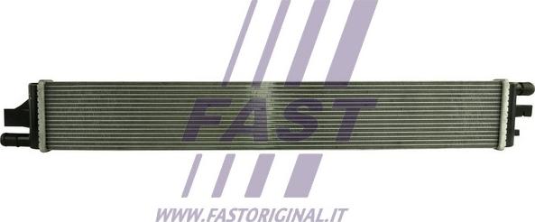 Fast FT55210 - Радиатор, охлаждение двигателя autodif.ru