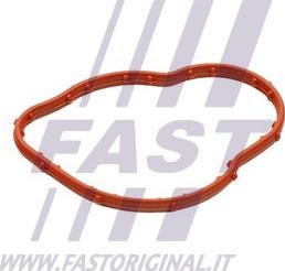 Fast FT58305 - Прокладка, термостат autodif.ru