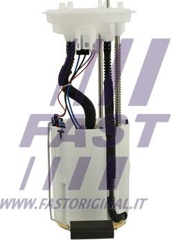 Fast FT53043 - Топливный насос autodif.ru