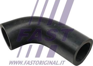 Fast FT65905 - Масляный шланг autodif.ru