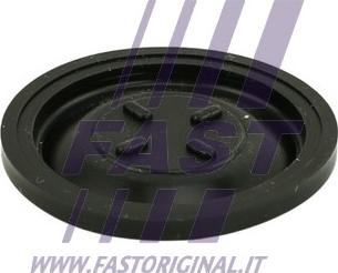 Fast FT60101 - Мембрана, вентиляция картера autodif.ru