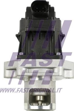 Fast FT60234 - Клапан возврата ОГ autodif.ru