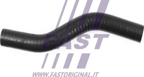 Fast FT61945 - Масляный шланг autodif.ru