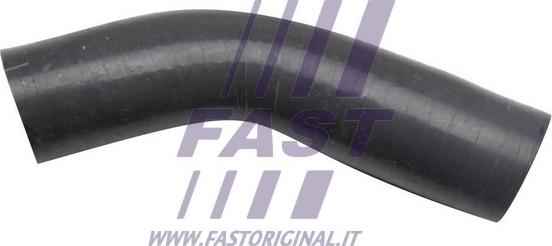 Fast FT61808 - Масляный шланг autodif.ru