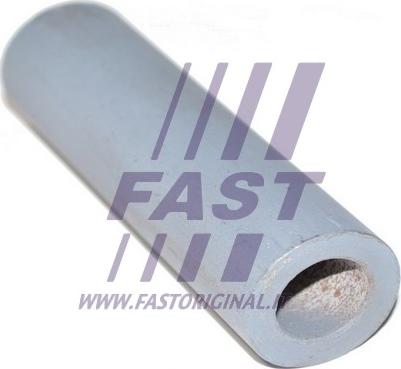 Fast FT18356 - Палец серьги рессоры задняя внутренняя (метал) Ducato (250) 11- , Boxer autodif.ru