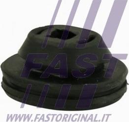 Fast FT13027 - Подвеска, радиатор autodif.ru