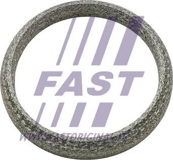 Fast FT84818 - Прокладка, труба выхлопного газа autodif.ru
