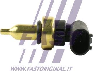 Fast FT80133 - Датчик, температура охлаждающей жидкости autodif.ru