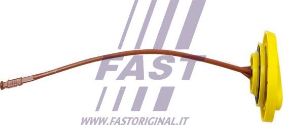 Fast FT80309 - Указатель уровня масла autodif.ru