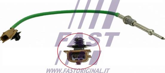 Fast FT80238 - Датчик, температура выхлопных газов autodif.ru