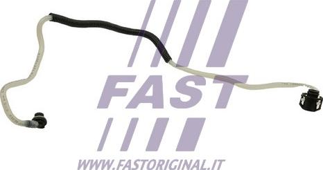 Fast FT39591 - Топливный шланг autodif.ru