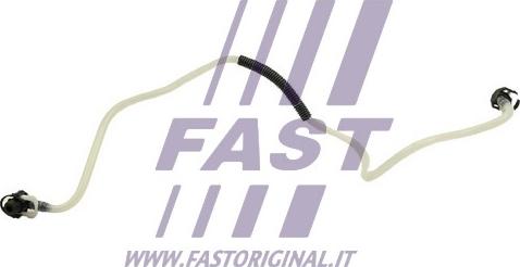 Fast FT39557 - Топливный шланг autodif.ru