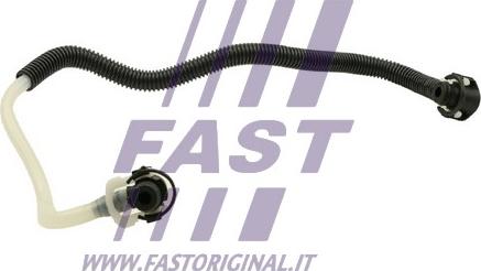 Fast FT39569 - Топливный шланг autodif.ru