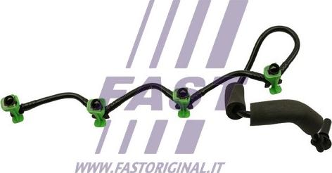 Fast FT39584 - Топливный шланг autodif.ru