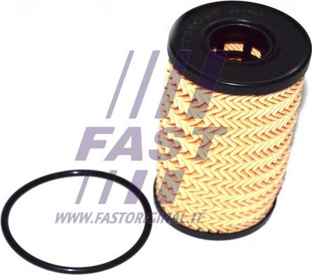 Fast FT38095 - Масляный фильтр autodif.ru
